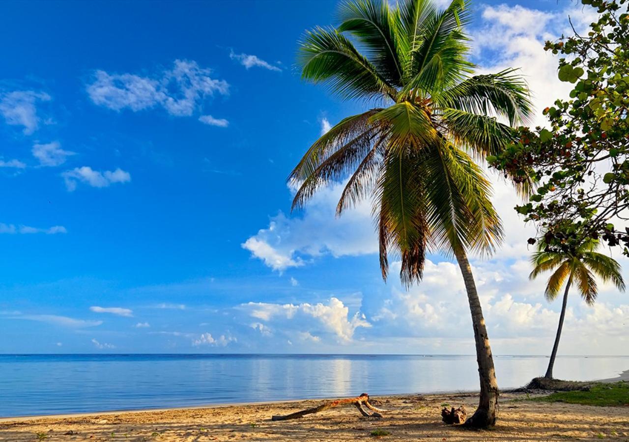 Chaykovski Boutique H Hotell Las Terrenas Eksteriør bilde