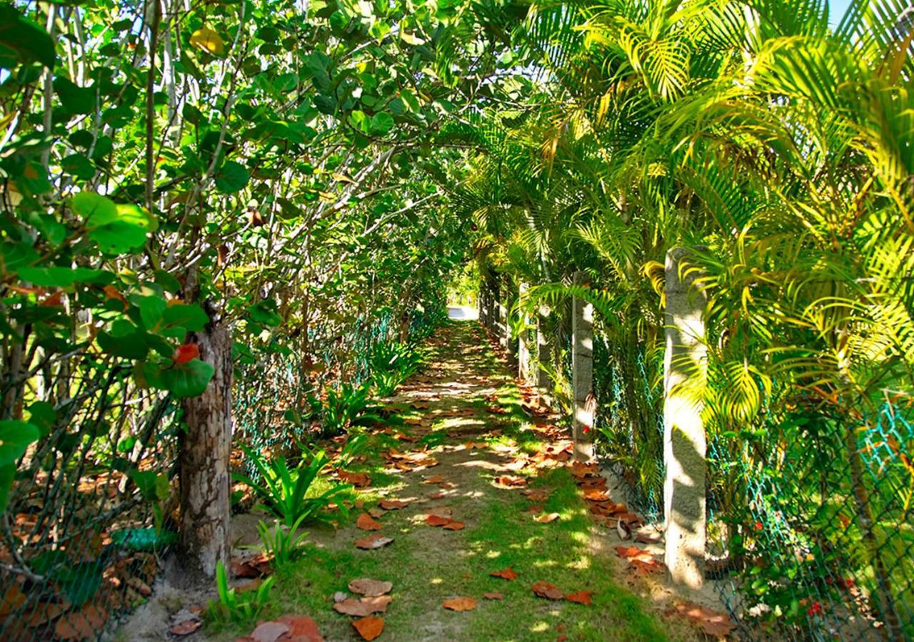 Chaykovski Boutique H Hotell Las Terrenas Eksteriør bilde