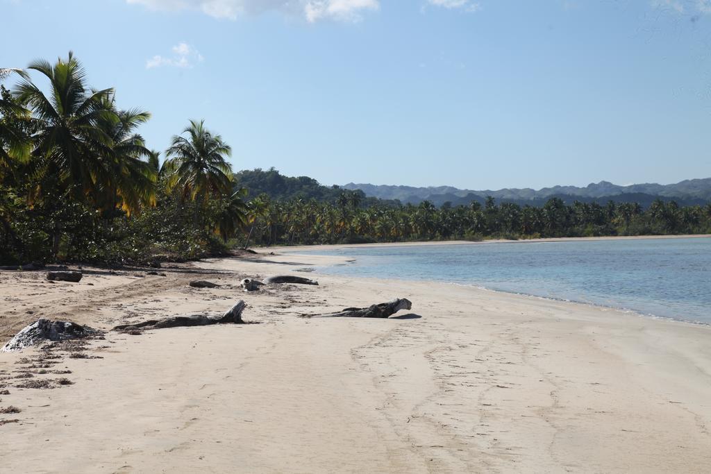 Chaykovski Boutique H Hotell Las Terrenas Eksteriør bilde