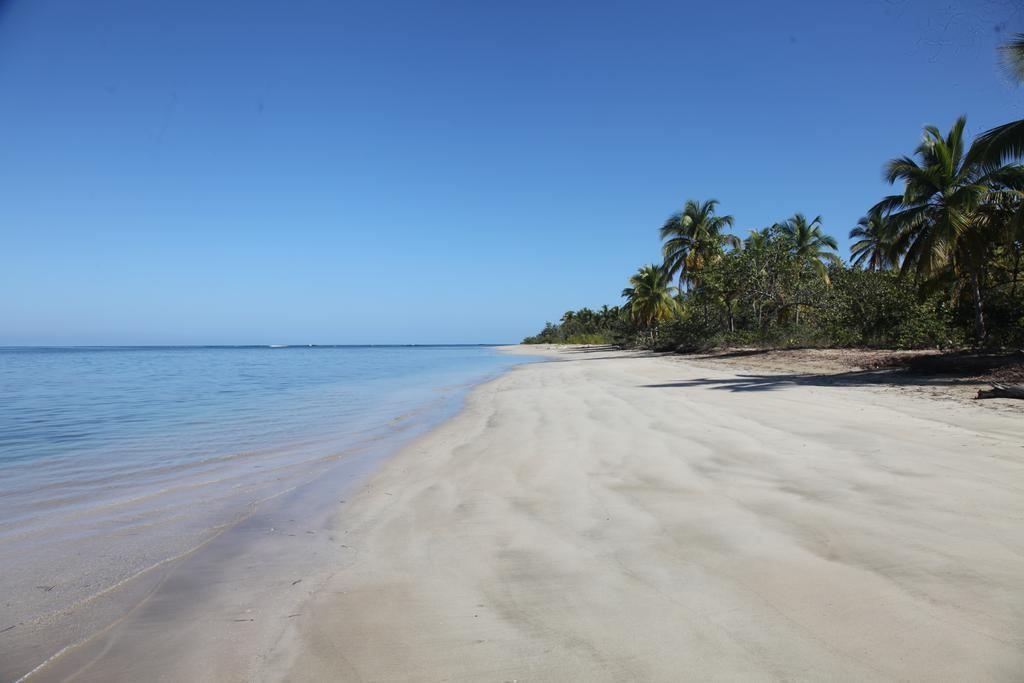 Chaykovski Boutique H Hotell Las Terrenas Eksteriør bilde